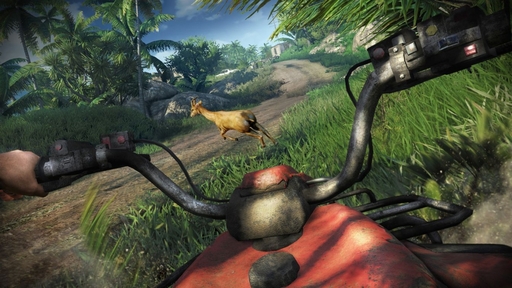 Far Cry 3 - Чем заняться, когда не убиваешь. 
