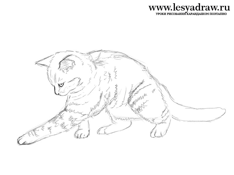 Как нарисовать играющуюся кошку карандашом поэтапно