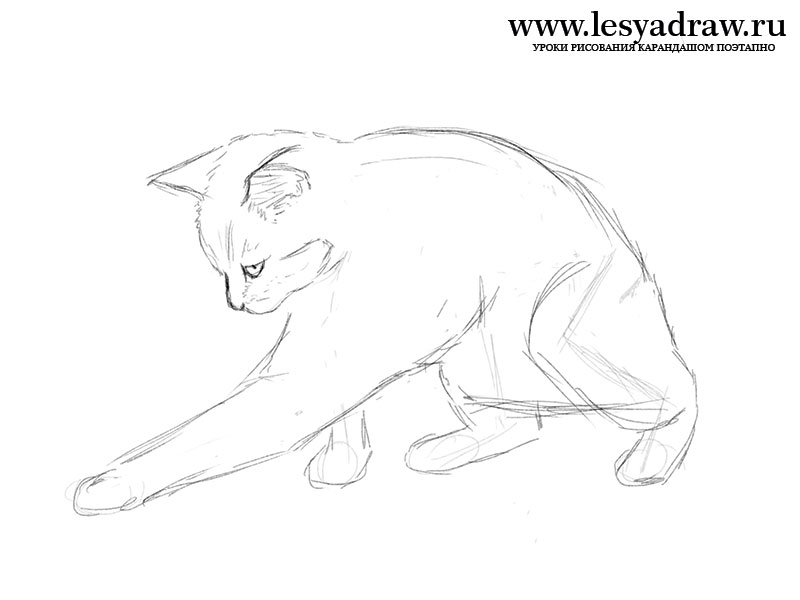 Как нарисовать играющуюся кошку поэтапно