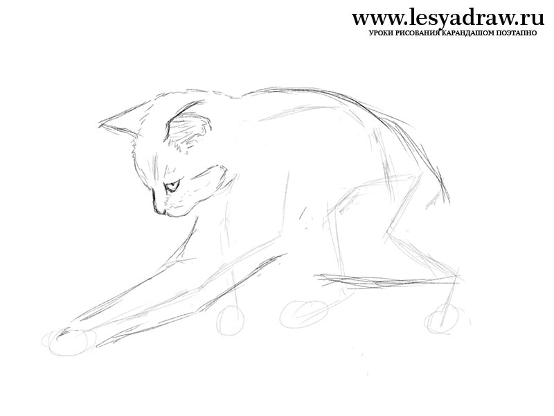 Как нарисовать играющегося котенка