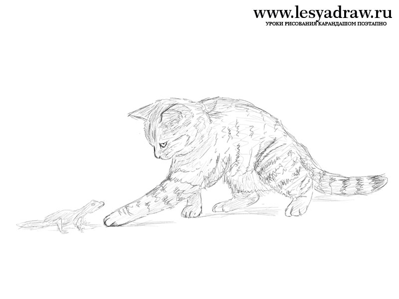 Как рисовать кошек