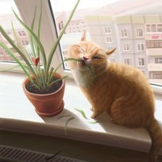 Кошки, Животные