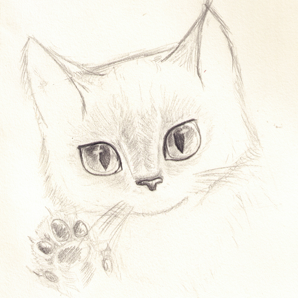 Рисунки кошек