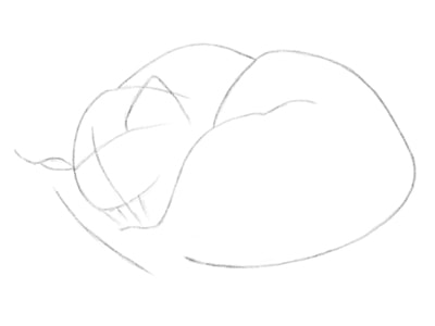 kak-risovat-koshku-karandashom-poetapno-10