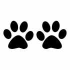 Трафарет лап кошек