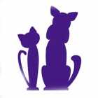 Трафарет кошка и собака