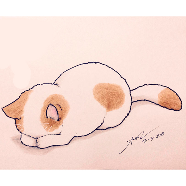 Рисунки кошек