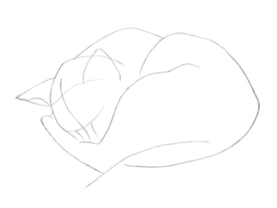 kak-risovat-koshku-karandashom-poetapno-11