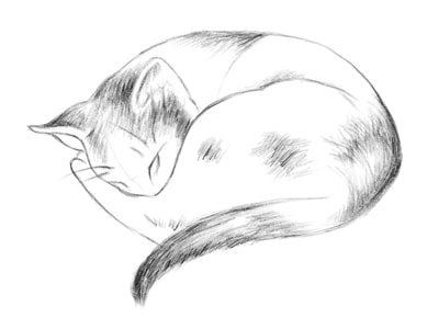 kak-risovat-koshku-karandashom-poetapno-14