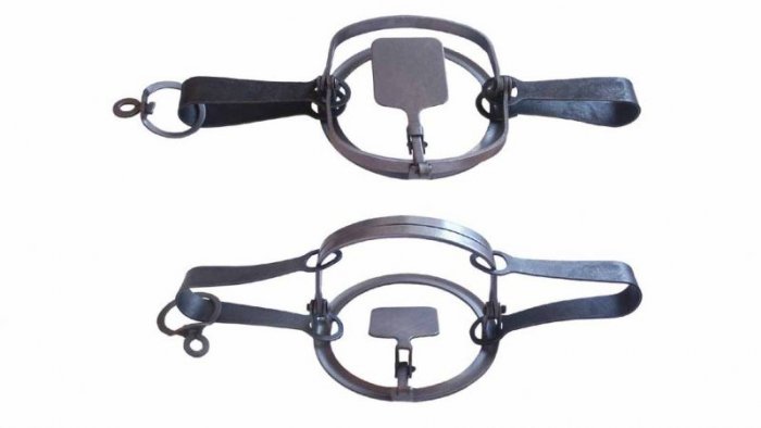 Охота на лису зимой