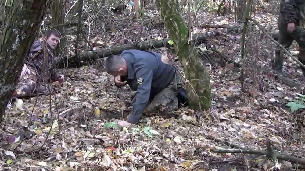 Охота на барсука - увлекательный квест