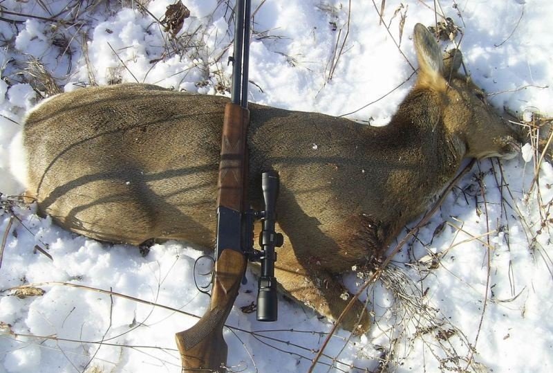 Охота на косулю зимой