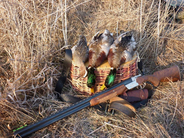 охота на уток с чучелом