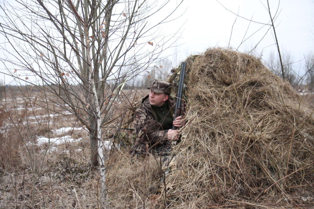 Охота на зайца осенью с подхода