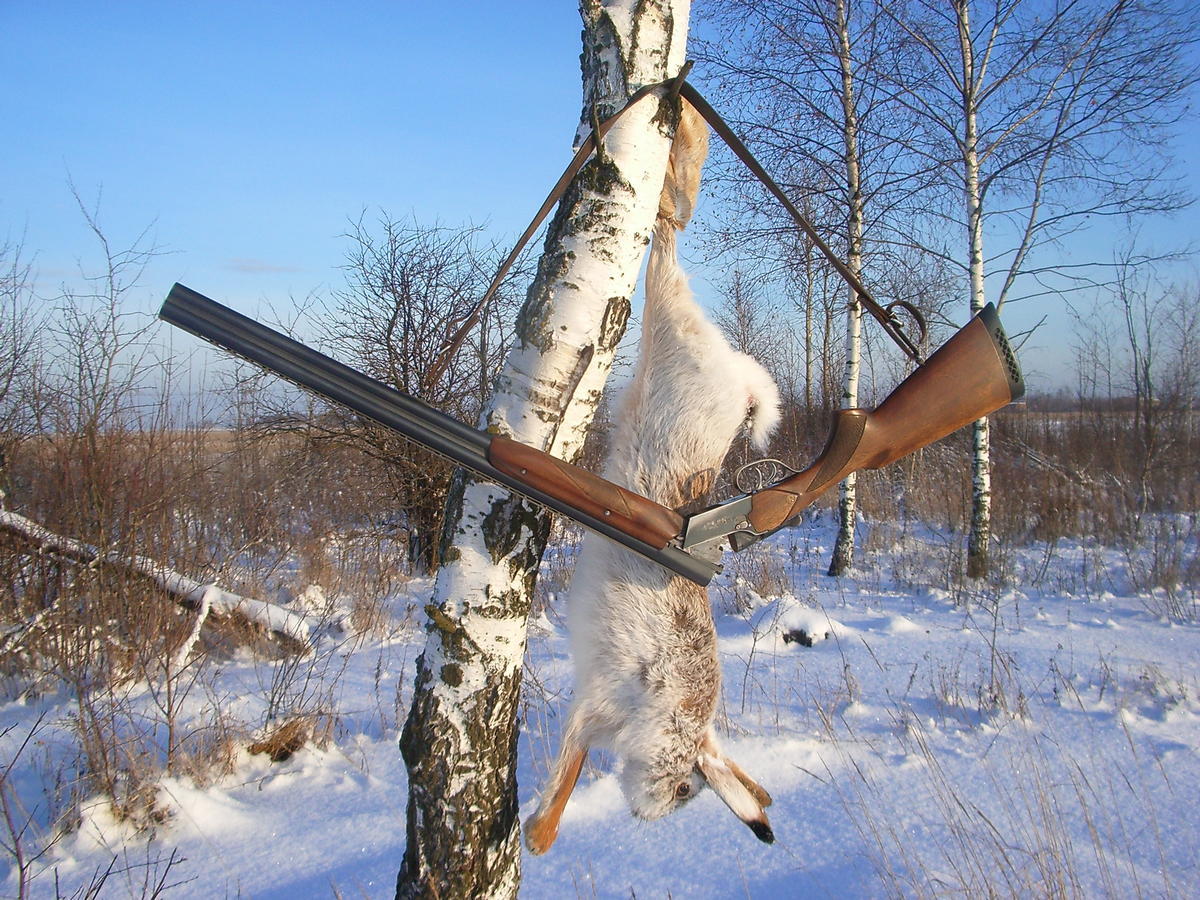 Охота на зайца зимой