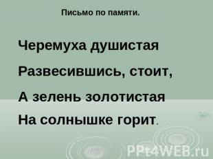 Письмо по памяти.Черемуха душистая Развесившись, стоит,А зелень золотистая На со