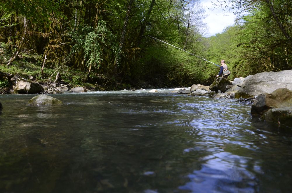 Ловля «махом» на естественные наживки всегда была в Сочи популярна