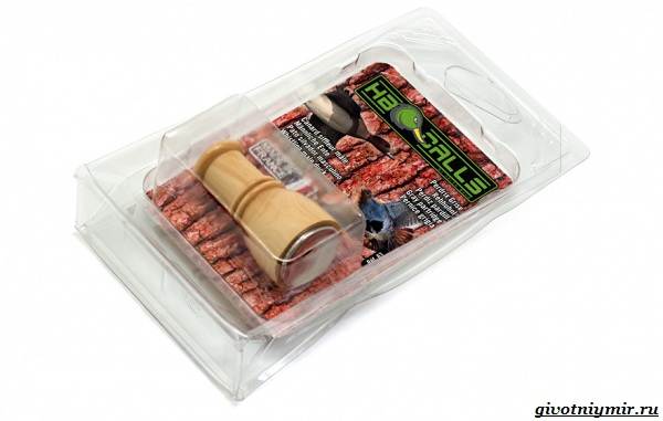 Охота-на-куропатку-и-её-особенности-13