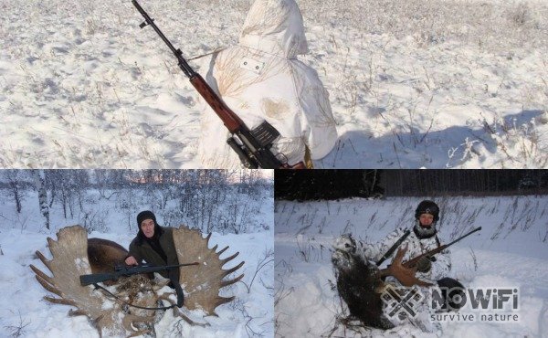 охота на лося зимой