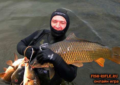 Подводная охота на сазана