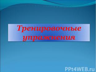 Тренировочные упражнения