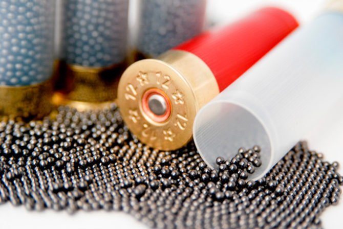 Патрон на утку