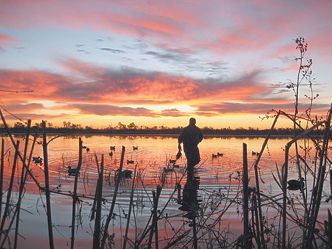 Фото mcandrus/flickr.com (CC BY-NC-ND 2.0)