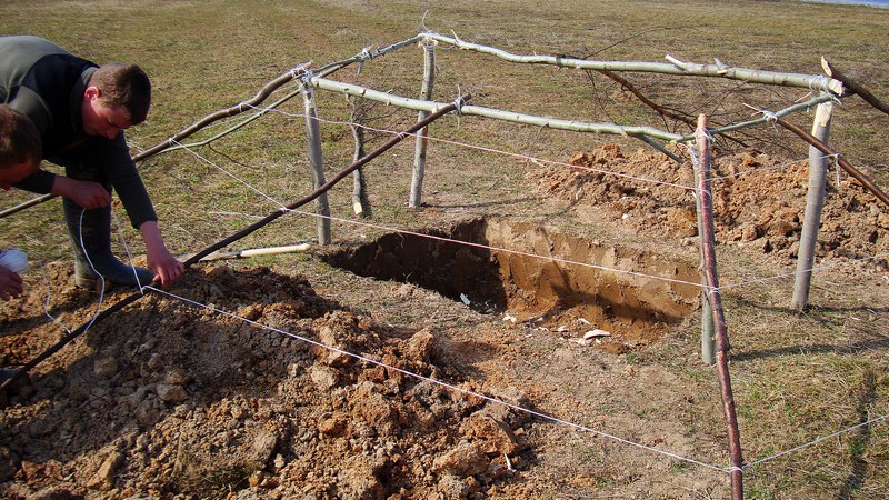 Постройка скрадка