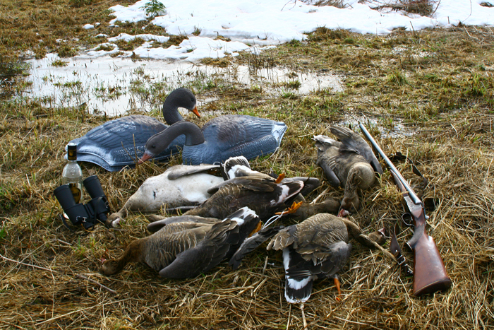 Трофеи на болоте