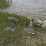 Чучела у воды