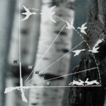 Стрельба по линейке в летящую птицу