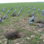 Условные чучела