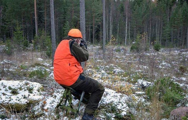 Поведение охотника в засаде