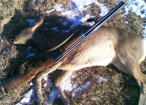 Охота на косулю с двустволкой