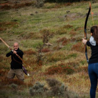 охота на перепела