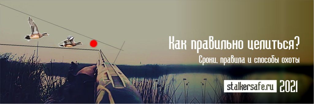Как правильно целиться в утку