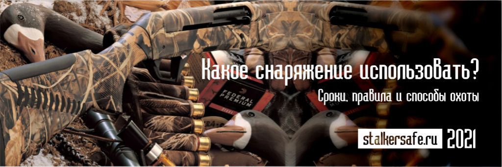 Какое снаряжение использовать для охоты на утку