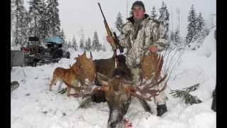Охота. Охота 2013. Видео охота. Оружие. Охотничьи ружья. Ружьё. Охота на лося. Лось.(На сайте www.555hf.tv (интернет-телевидение) Вы можете посмотреть эту передачу полностью онлайн бесплатно. Смотр. 2013-10-23T05:00:49.000Z)