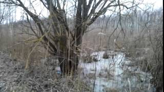 Охота на Лося Контрольный выстрел YouTube(ВСЁ САМОЕ ЛУЧШЕЕ ПРО ОХОТУ НА НАШЕМ КАНАЛЕ., 2015-07-24T08:33:05.000Z)