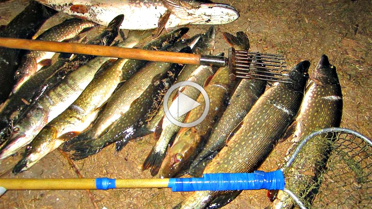 Видео рыбалка на острогу ночью