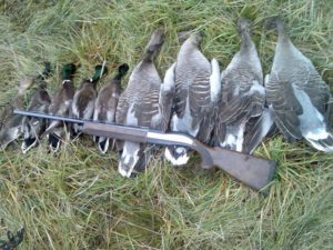 С каким калибром можно охотиться на боровую дичь 2019