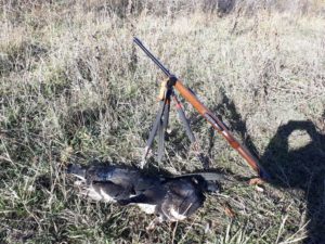 С каким калибром можно охотиться на боровую дичь 2019