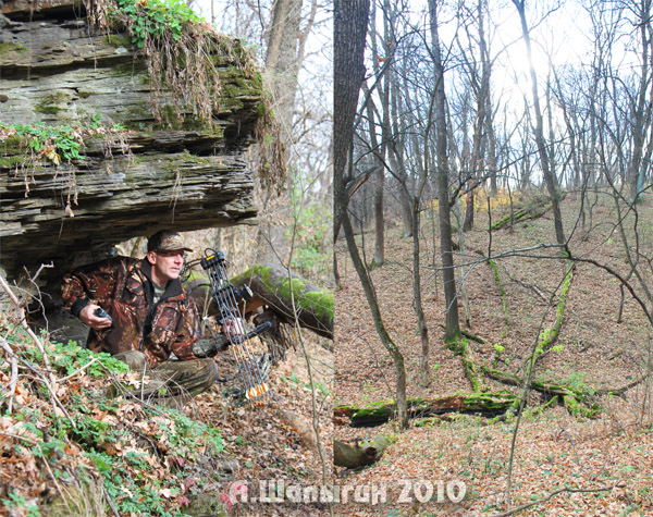 Охота с луком на лису - Андрей Шалыгин