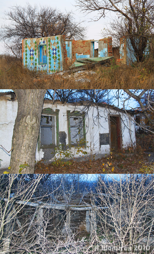 Охота с луком на лису - Андрей Шалыгин