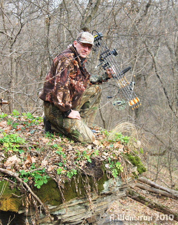 Охота с луком на лису - Андрей Шалыгин