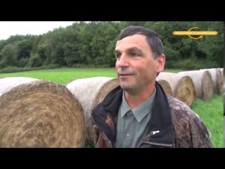 Охота на косулю видео ютуб