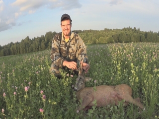 Видео охота на косулю с манком нордик
