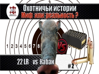 Охота с мелкашкой на косулю видео