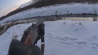 Охота на бобра зимой с ружьем, БОБР-МАТРИЦА он существует!(Охота на бобра с ружьем зимой возможна. на бобра зимой охотятся на каналах которые не замерзают и даже в. 2016-11-20T07:38:29.000Z)