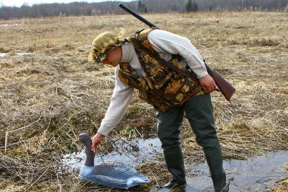 Весенняя охота на гуся, охота на гуся весной, весенняя охота на гуся 2017, открытие сезона весенней охоты на гуся, гуси, как охотиться на гуся, когда охотиться на гуся, где охотиться на гуся, как охотиться на гуся, манок на гуся, охота на гуся с манком, серый гусь, белолобый гусь, гусь гуменник, маскировка на охоте на гуся, укрытие на охоте на гуся, охота на гуся с профилями, охота на гуся с чучелами, тактика охоты на гуся, ружья и патроны для охоты на гуся